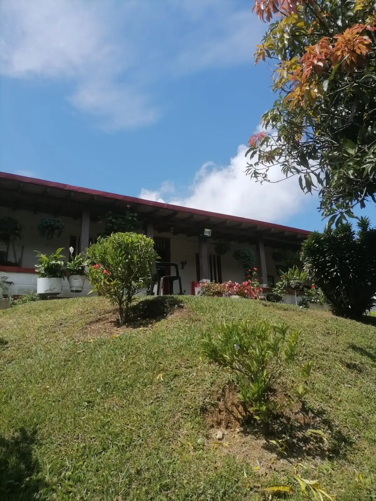 FINCA SECTOR LA HERRADURITA VIA A ARMENIA